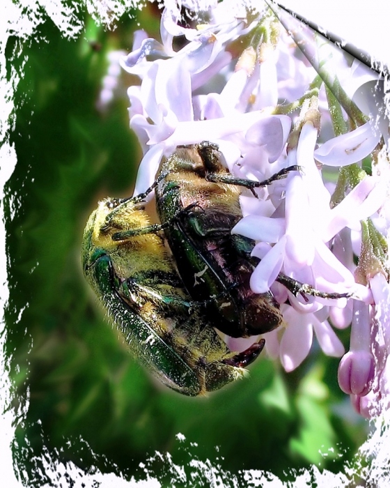 Будем жить!