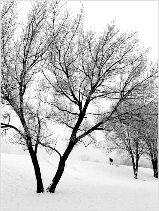 Графика зимы #1