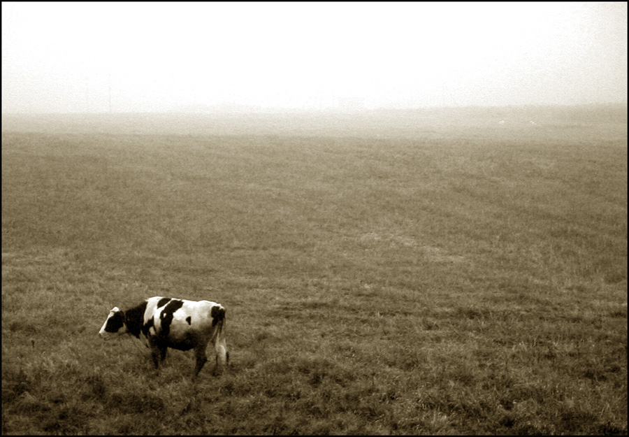 Одиночество