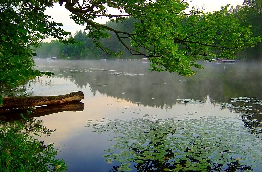 пакуль усе сьпяць...