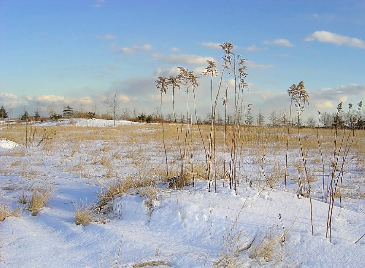 разам будзем да вясны