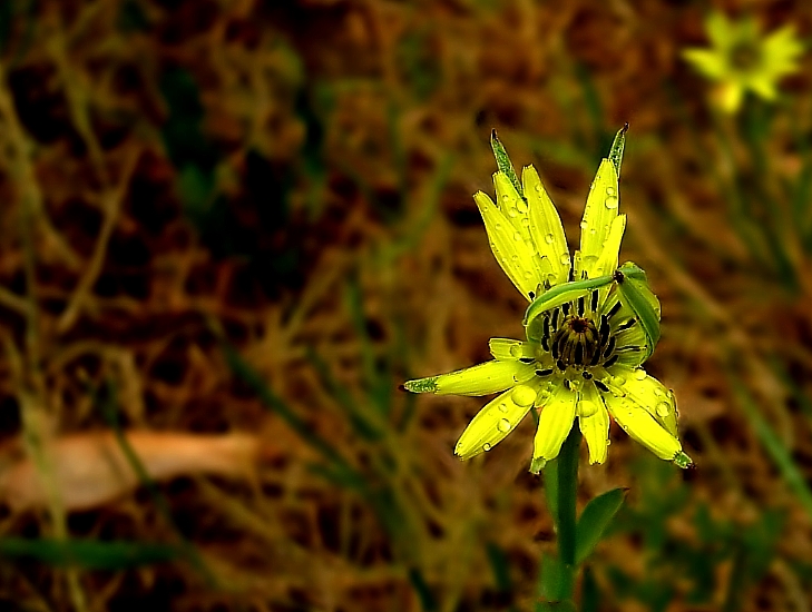 як схавацца ад дажджу...