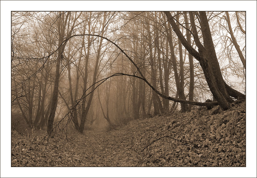 Туманное настроение