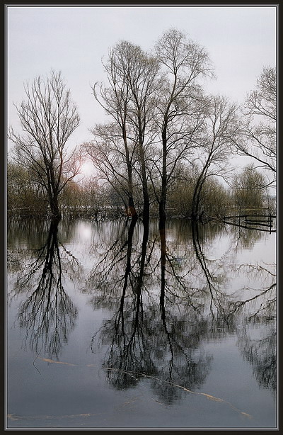 отражения 1