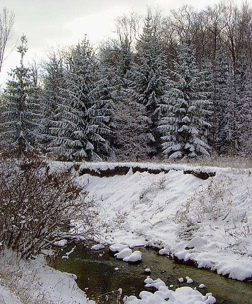 А на беразе тым...