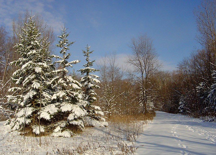 З Новым годам!