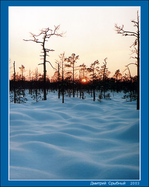 *Зима укутала лес снегом*