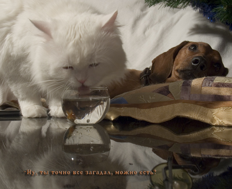 когда желания исполнены