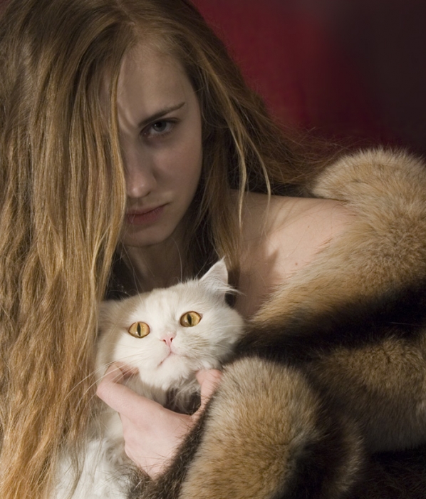 гламурный кот, который не хотел фотографироваться