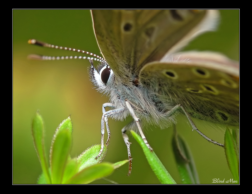 Эквилибристика...