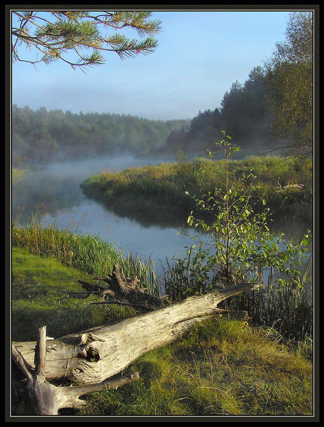 хорошее летнее утро