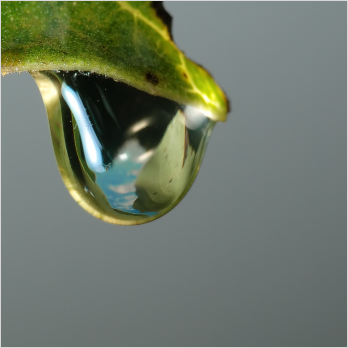 Маленький большой мир