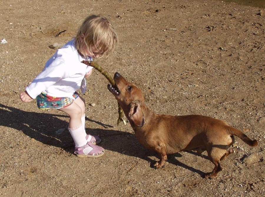 Девочка, подержи палочку!