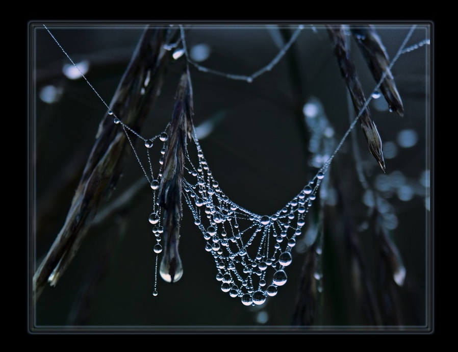 Автопортрет