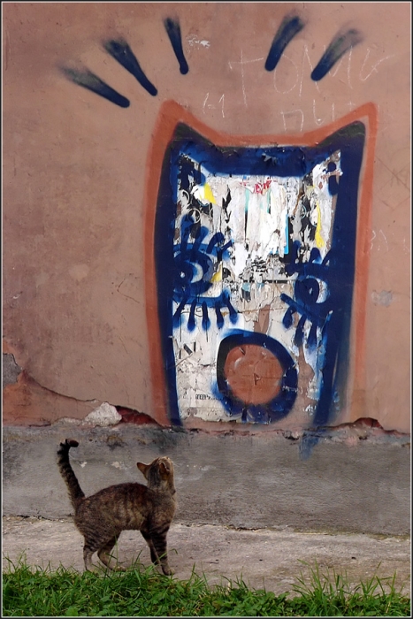 Стать звездой