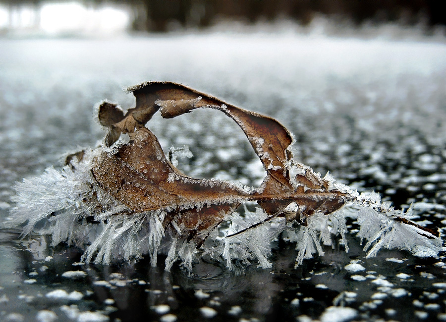 Нежные сети