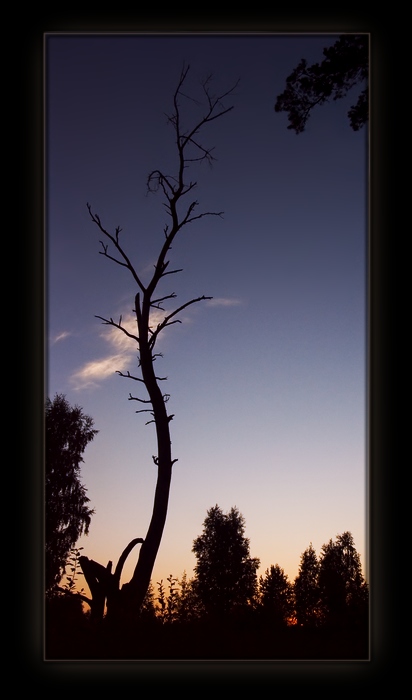 Три символа вечности.