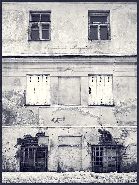 Разные взгляды на жизнь за окном.