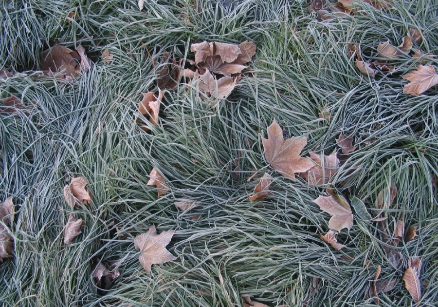 вот так начинается зима