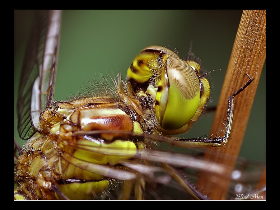 Это ничего, что я к вам спиной?