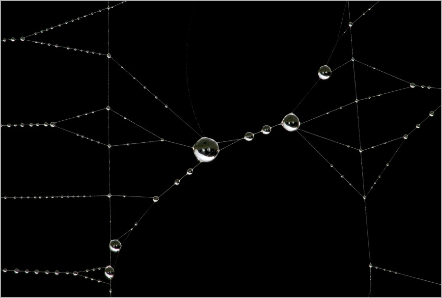 Про линии и узлы