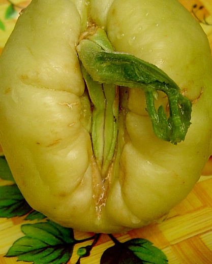 іньціму не прапанаваць 2