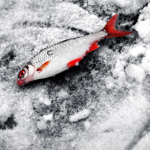 дышать... так хочется дышать....