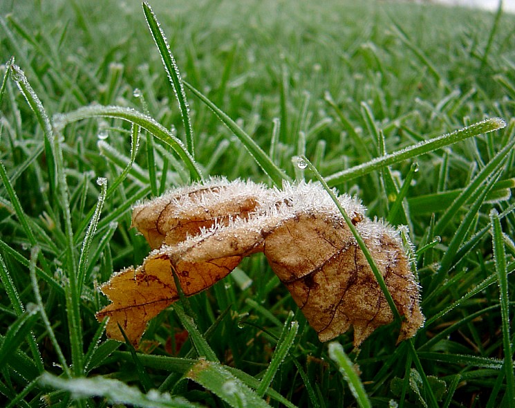 мы не пасьпелі азірнуцца..