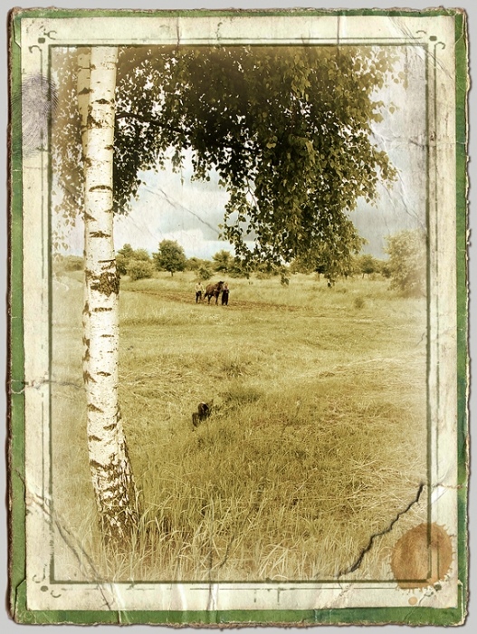 Жизнь селянская. Век 19? 20? 21?....22?