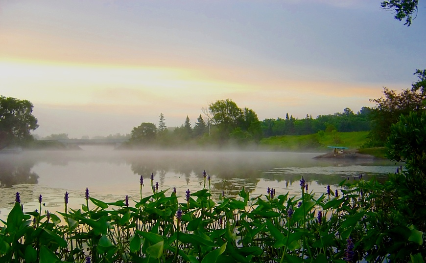 як парное малако