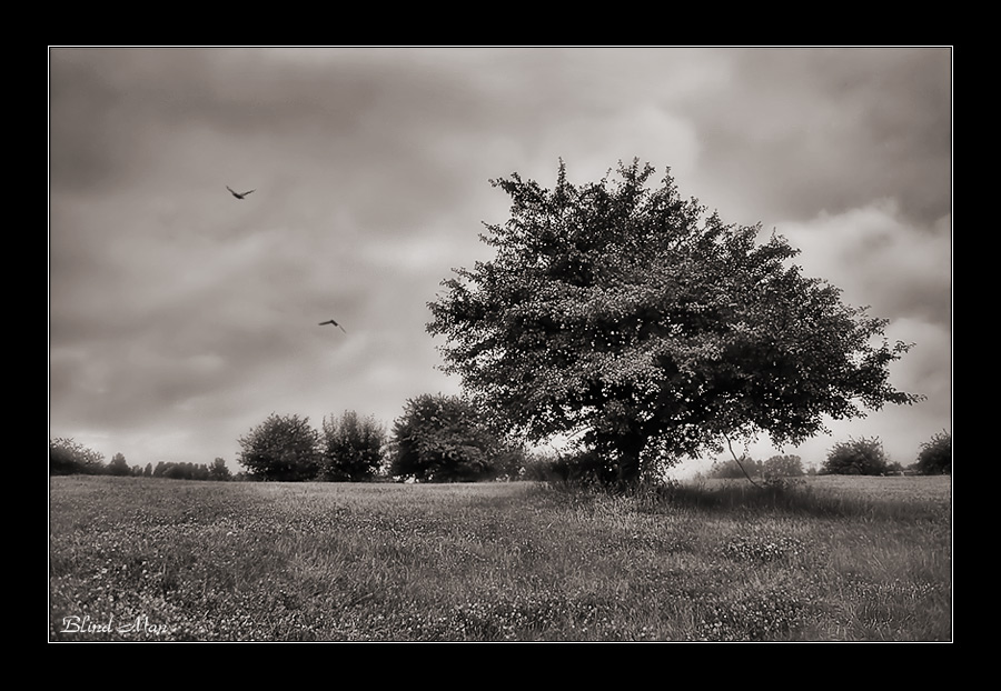 Серое настроение...