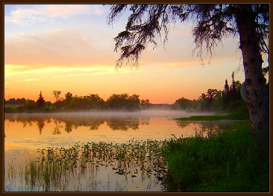 не пад пальмай, але таксама прыемна...