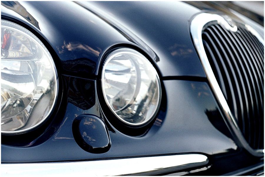 Ягуар цвета неба