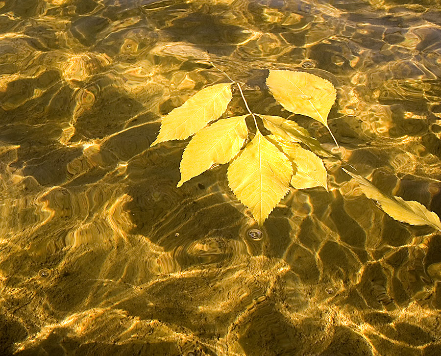 Когда плавилась осень...