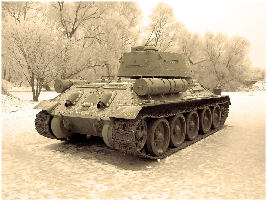 Охраняя Брестскую крепость...