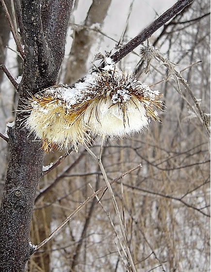 ці цёпла вам..?
