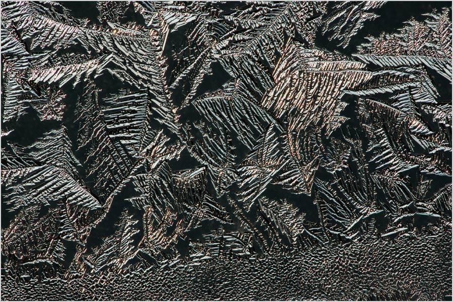 Ночь в хрустальном лесу