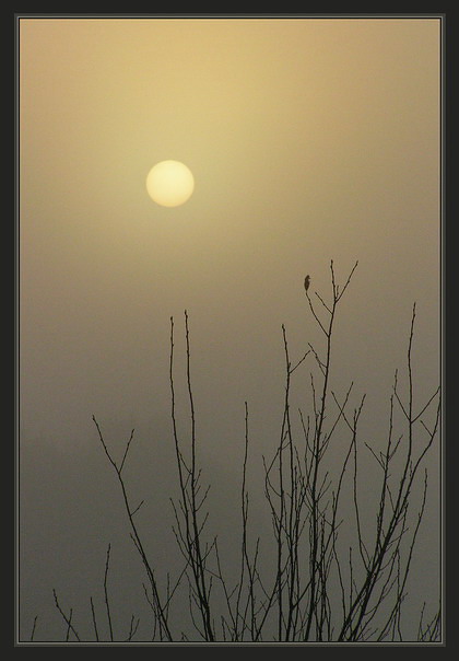 осень.прощальный полет.