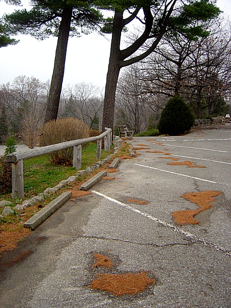 замалёўкі позьняй восені