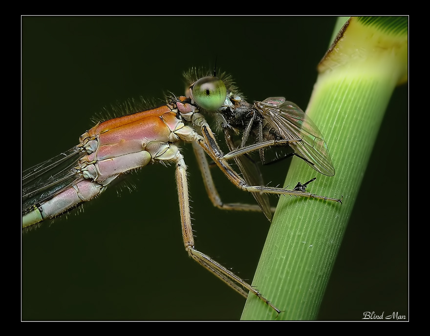 Обеденный перерыв...
