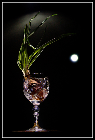 Абстракция