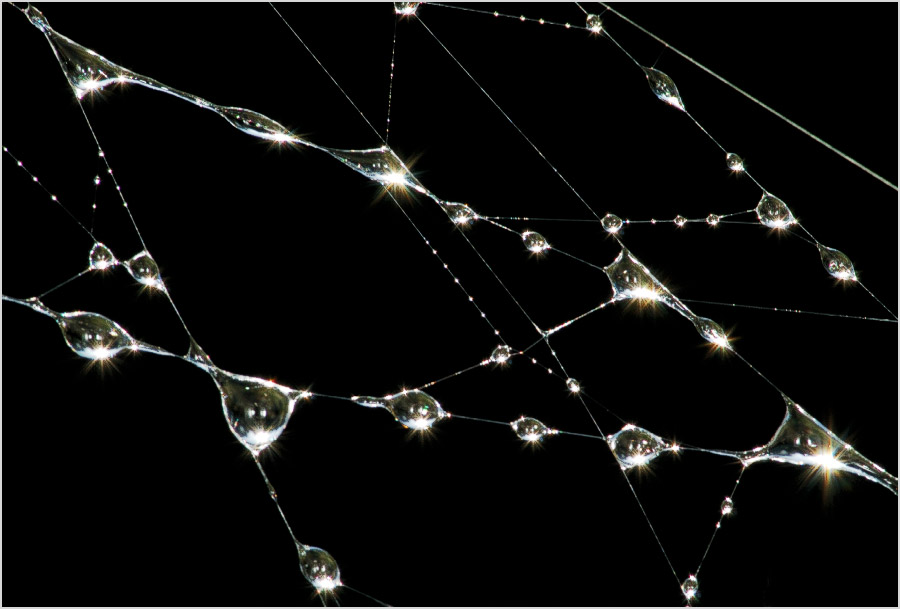 Поймать солнце... #1