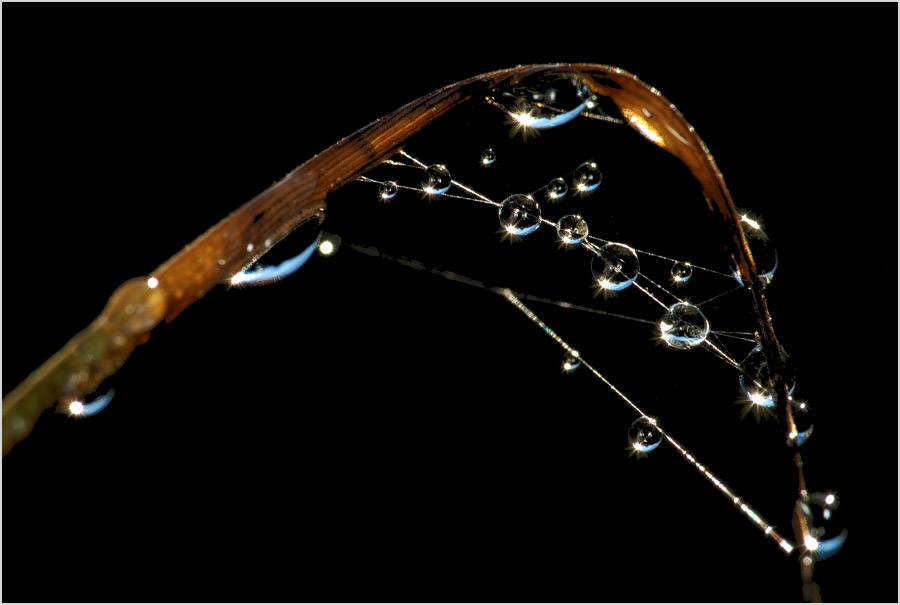 Поймать солнце... #2