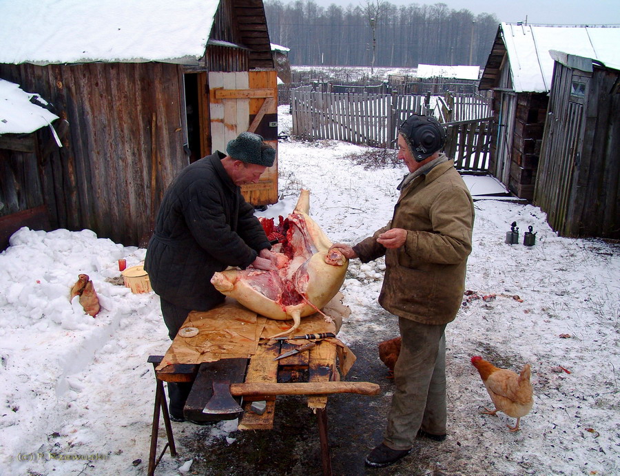 Людзі грэшныя