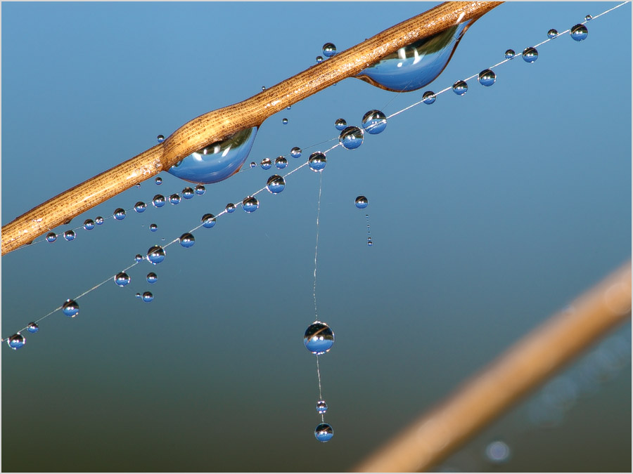 В ожидании солнца