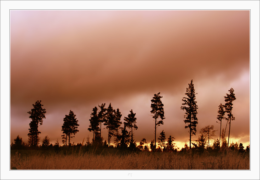 noSUNSET - noSUNRISE