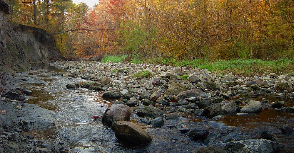 вуцінымі вачыма