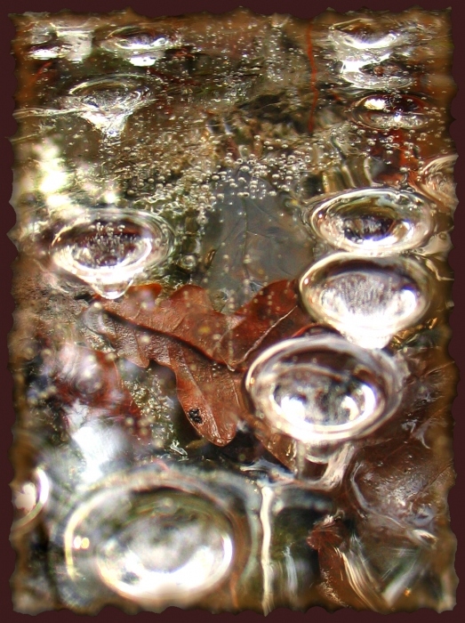 Погружение в осень