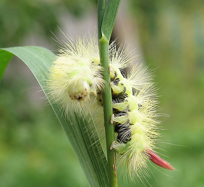 Здрасте, не ждали?