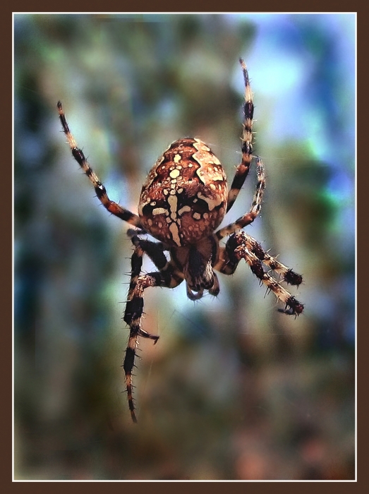 Лютый хищник